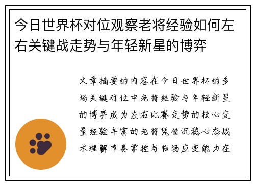 今日世界杯对位观察老将经验如何左右关键战走势与年轻新星的博弈