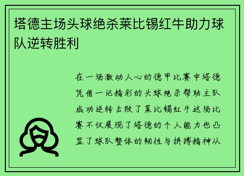 塔德主场头球绝杀莱比锡红牛助力球队逆转胜利